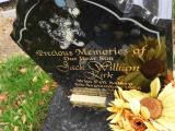 image of grave number 695558